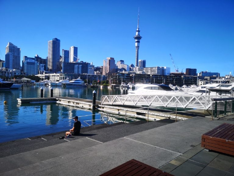 a person sitting on a dock with a city in the background